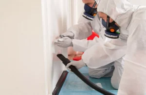 Asbestos
